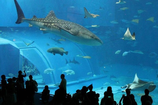 AquaRio