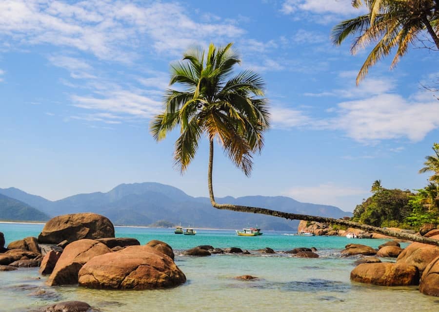 Foto: Reprodu&ccedil;&atilde;o