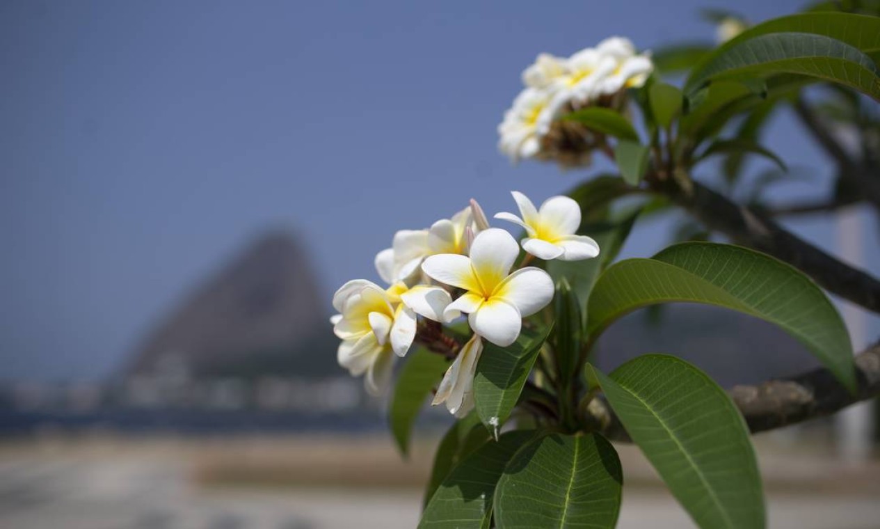 Rio de Janeiro