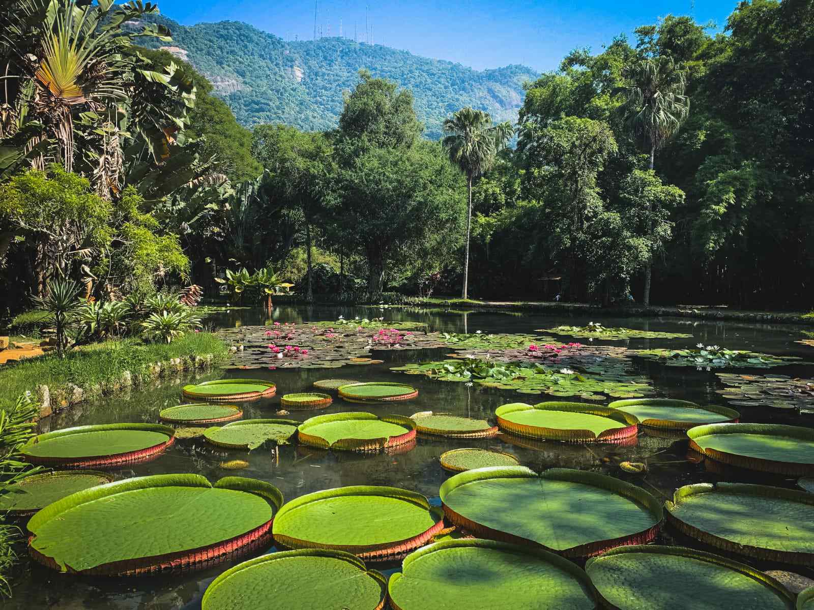 Jardim Bot&acirc;nico