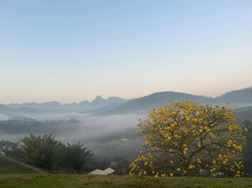 Vin&iacute;cola Real das Ru&iacute;nas