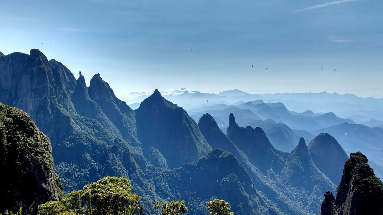 Foto: Reprodu&ccedil;&atilde;o