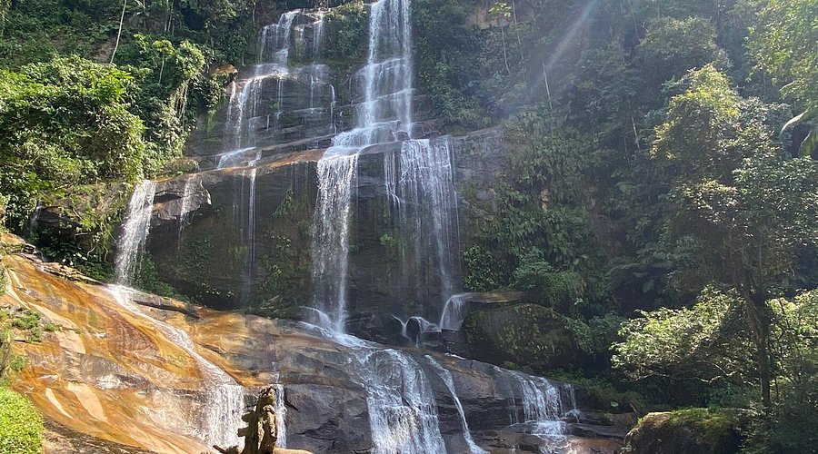 Reserva Ecol&oacute;gica de Guapia&ccedil;u (REGUA)