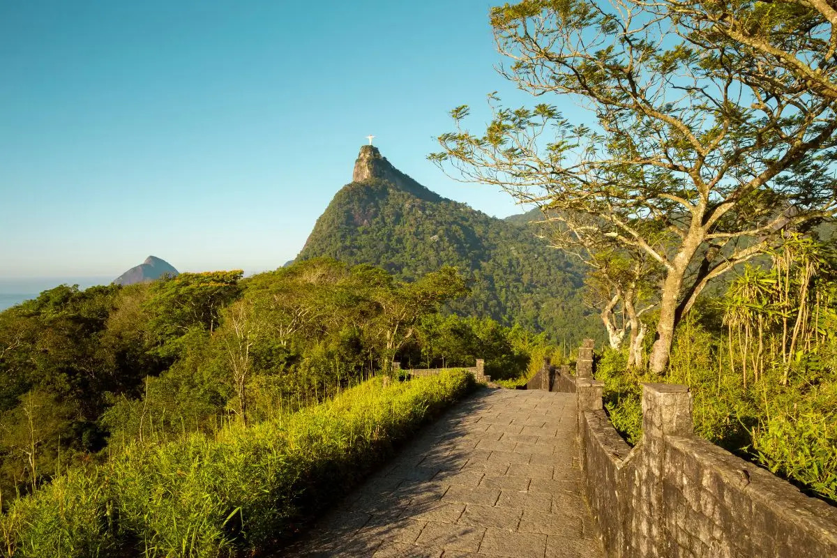 Floresta da Tijuca