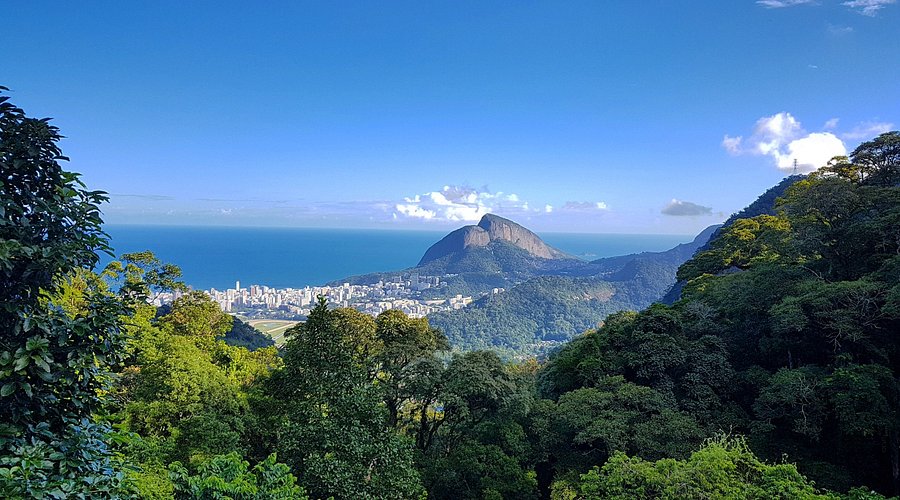 Parque da Tijuca