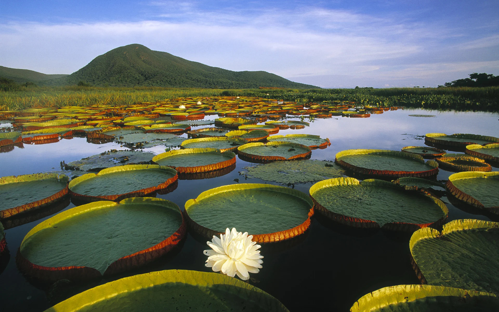 Turismo de natureza