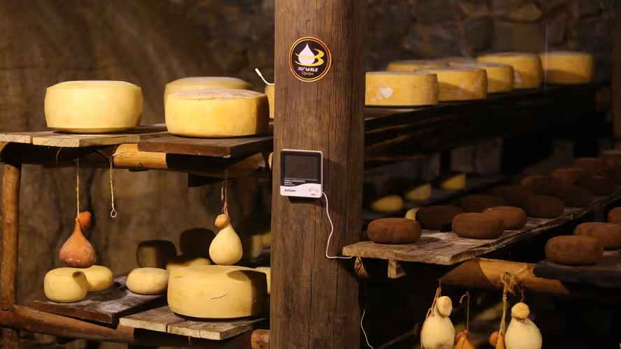 Rota do Queijo